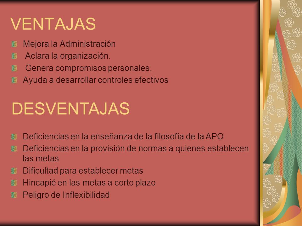 VENTAJAS DESVENTAJAS Mejora la Administración Aclara la organización.