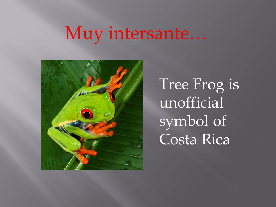 Muy intersante… Tree Frog is unofficial symbol of Costa Rica