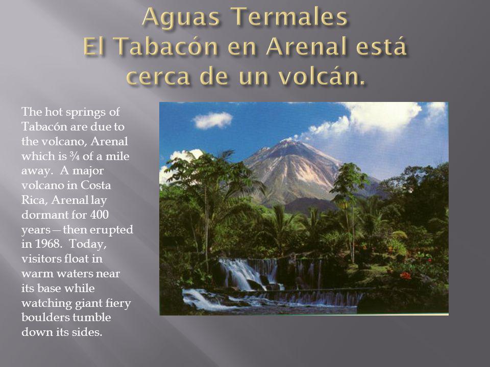 Aguas Termales El Tabacón en Arenal está cerca de un volcán.