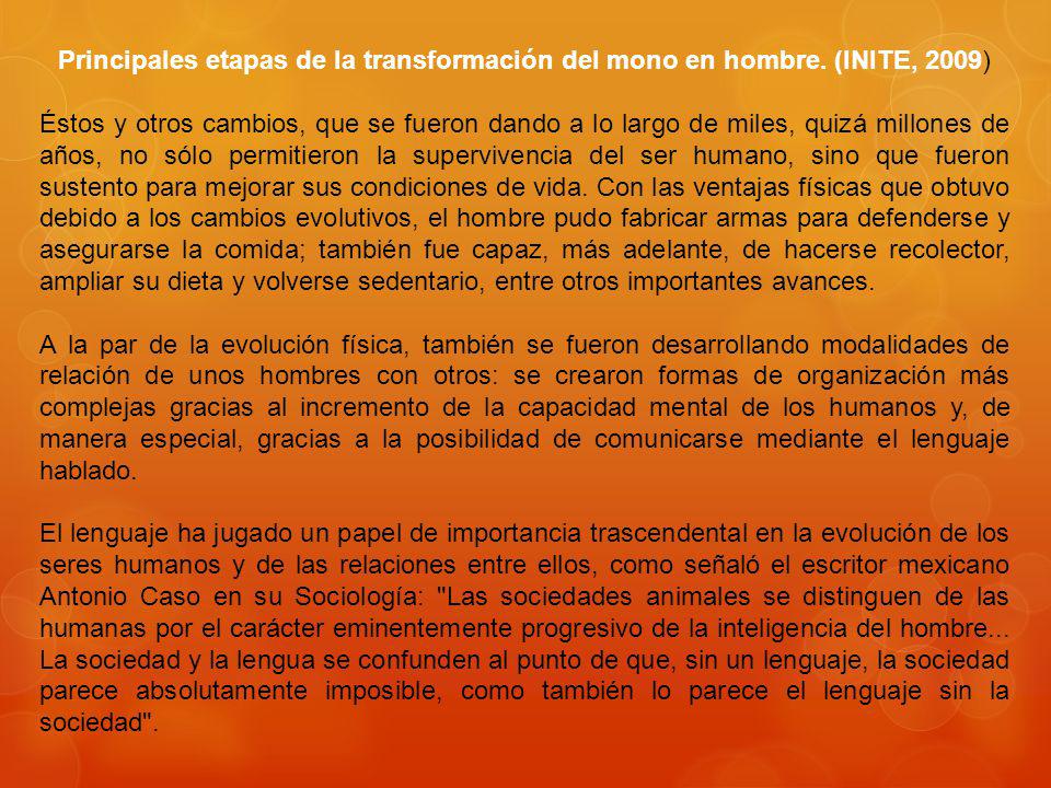 Principales etapas de la transformación del mono en hombre