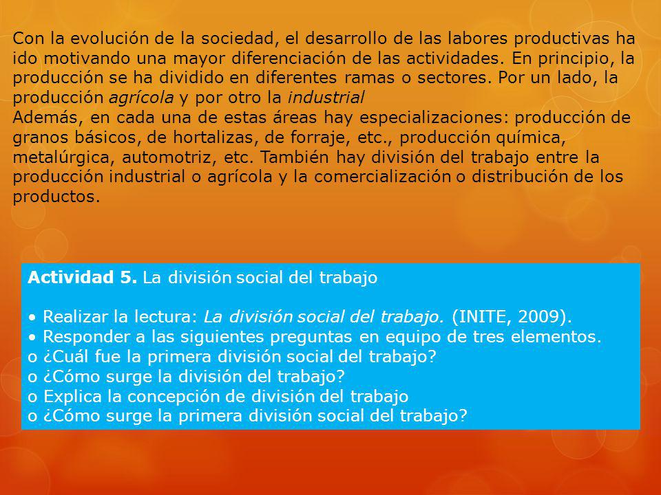 Con la evolución de la sociedad, el desarrollo de las labores productivas ha ido motivando una mayor diferenciación de las actividades. En principio, la producción se ha dividido en diferentes ramas o sectores. Por un lado, la producción agrícola y por otro la industrial