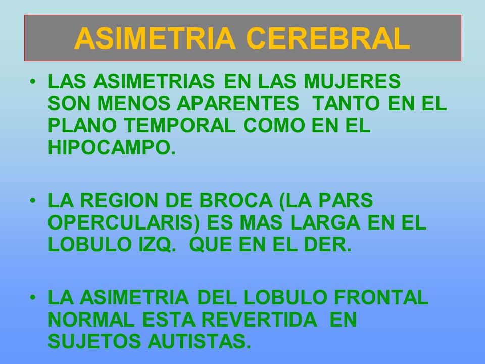ASIMETRIA CEREBRAL LAS ASIMETRIAS EN LAS MUJERES SON MENOS APARENTES TANTO EN EL PLANO TEMPORAL COMO EN EL HIPOCAMPO.