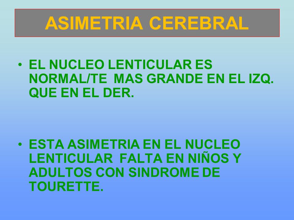 ASIMETRIA CEREBRAL EL NUCLEO LENTICULAR ES NORMAL/TE MAS GRANDE EN EL IZQ. QUE EN EL DER.