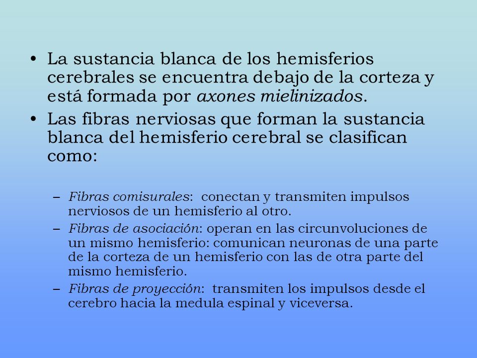 La sustancia blanca de los hemisferios cerebrales se encuentra debajo de la corteza y está formada por axones mielinizados.