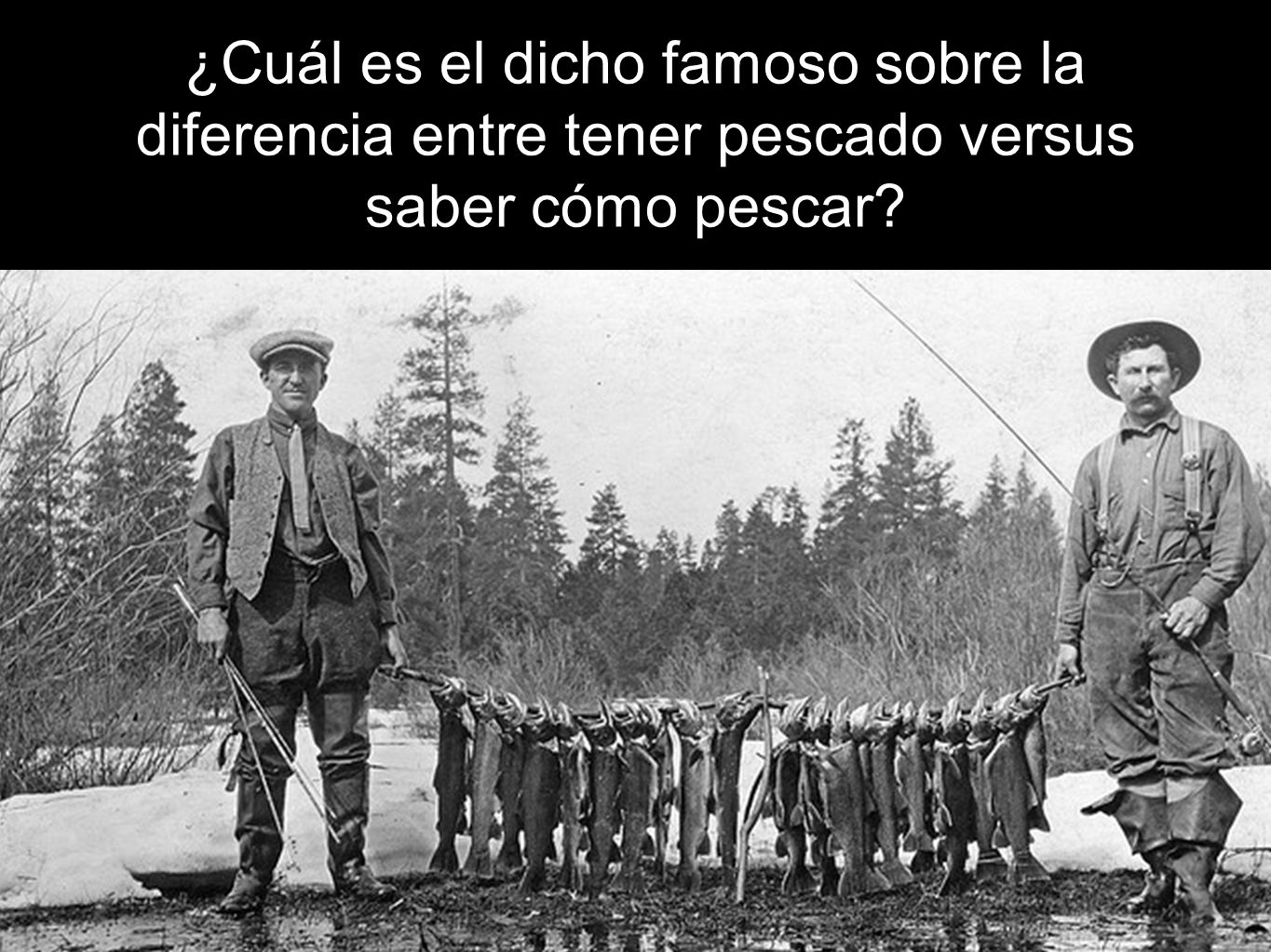 ¿Cuál es el dicho famoso sobre la diferencia entre tener pescado versus saber cómo pescar