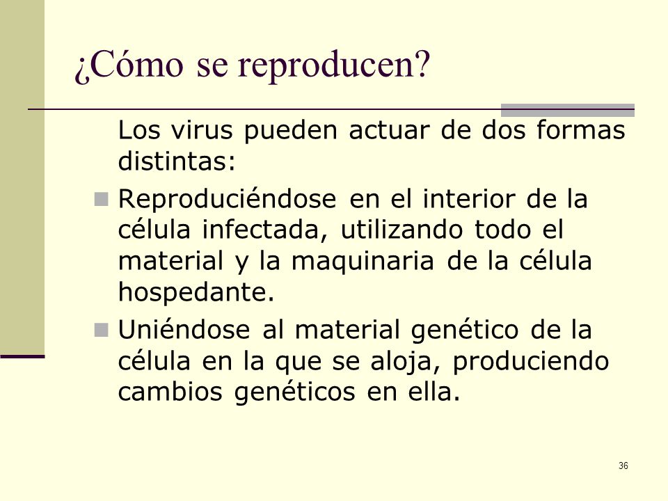 ¿Cómo se reproducen Los virus pueden actuar de dos formas distintas: