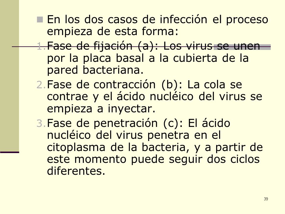 En los dos casos de infección el proceso empieza de esta forma: