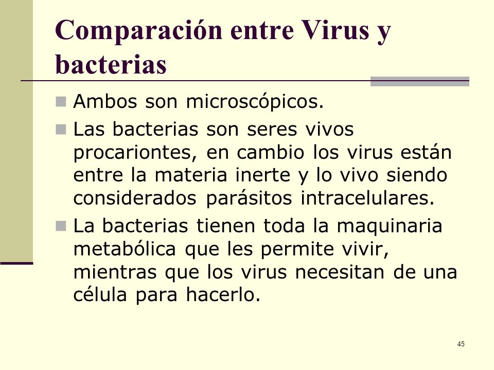 Comparación entre Virus y bacterias