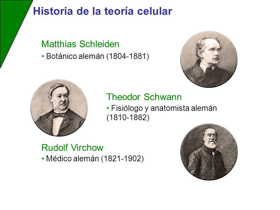 Historia de la teoría celular