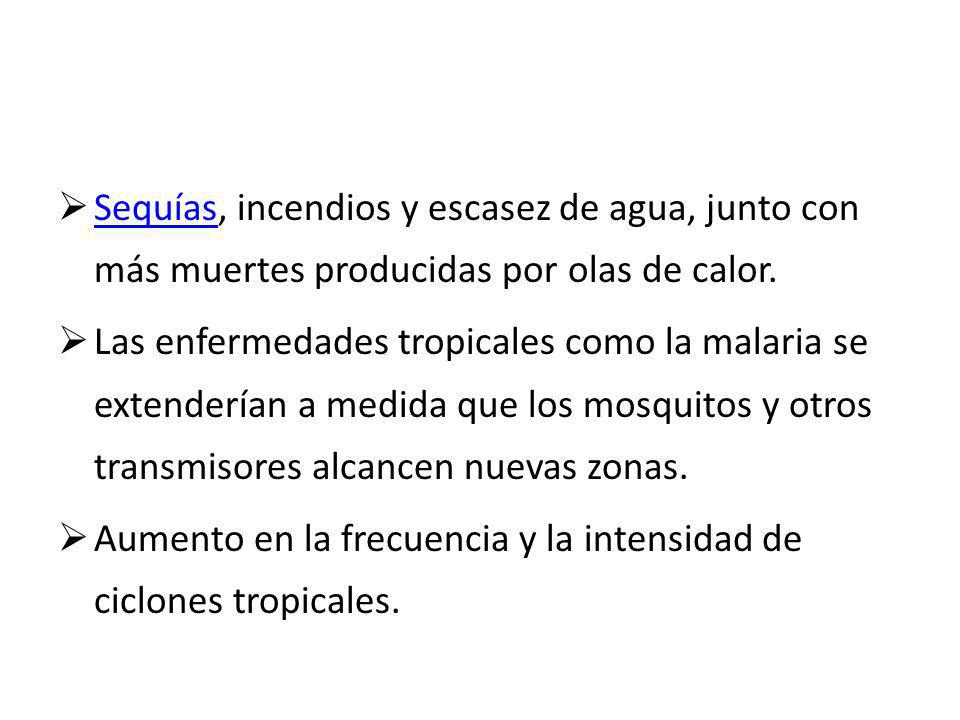 Sequías, incendios y escasez de agua, junto con más muertes producidas por olas de calor.