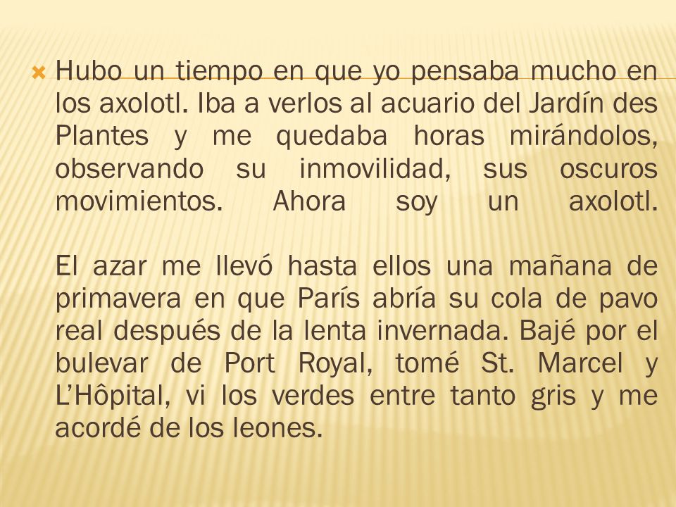 Hubo un tiempo en que yo pensaba mucho en los axolotl
