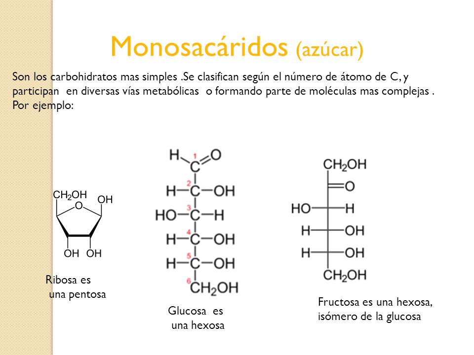 Monosacáridos (azúcar)