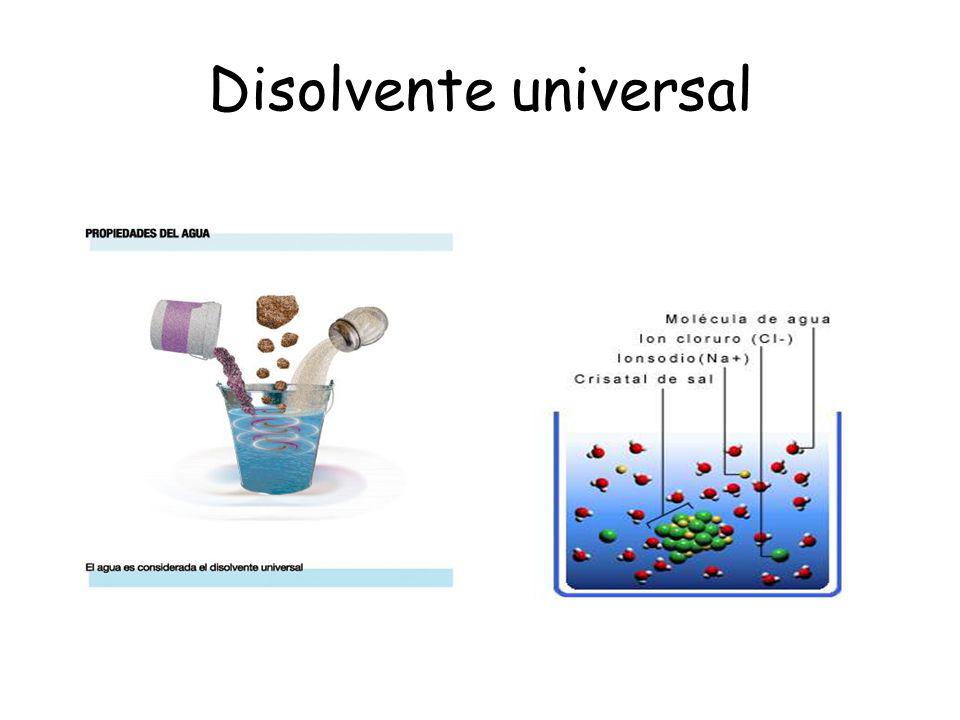 Disolvente universal