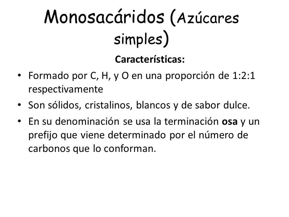 Monosacáridos (Azúcares simples)