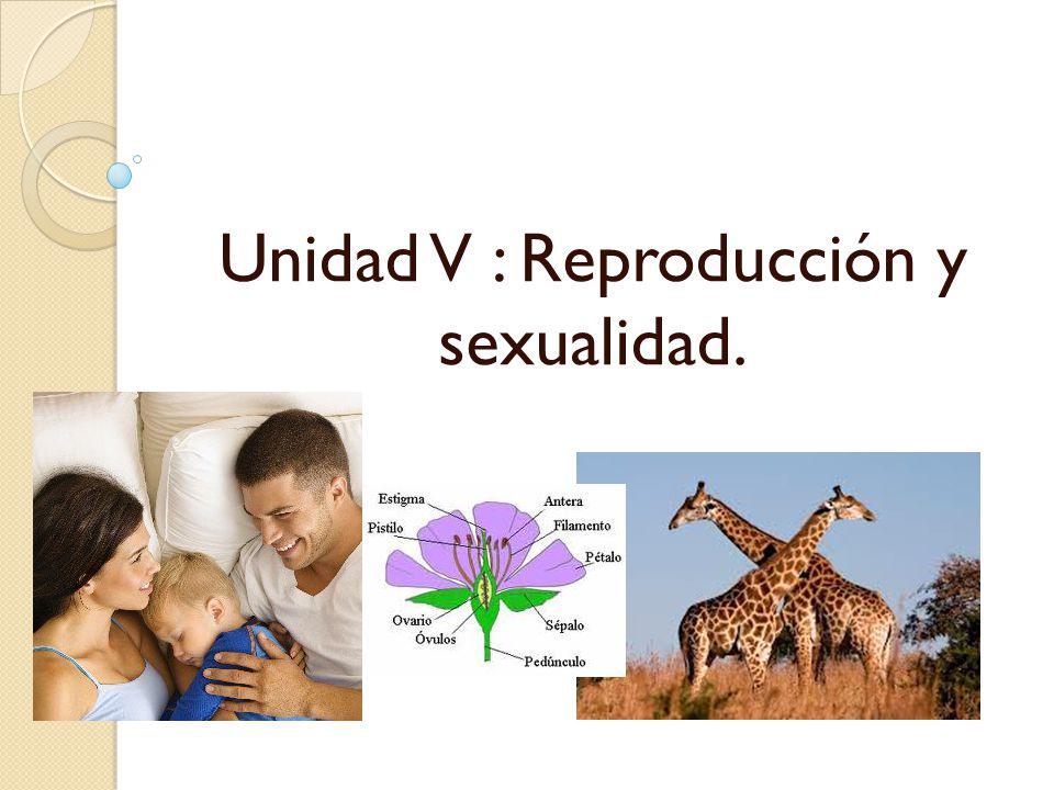 Unidad V : Reproducción y sexualidad.