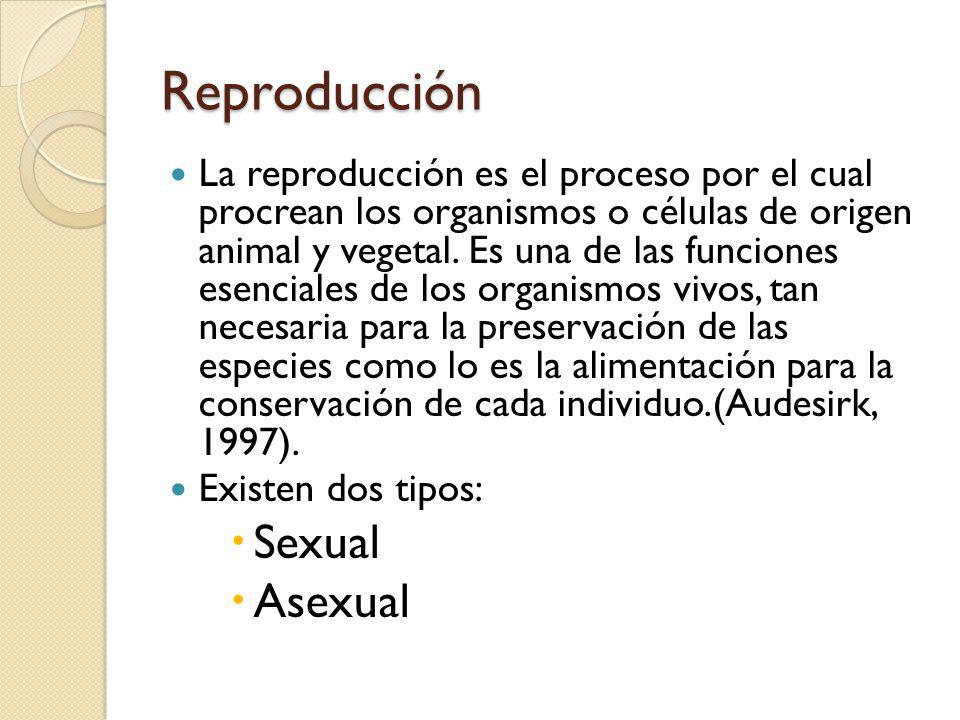 Reproducción Sexual Asexual