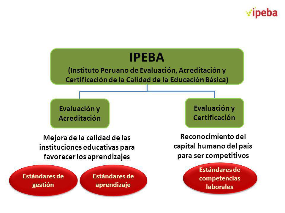 IPEBA (Instituto Peruano de Evaluación, Acreditación y Certificación de la Calidad de la Educación Básica)