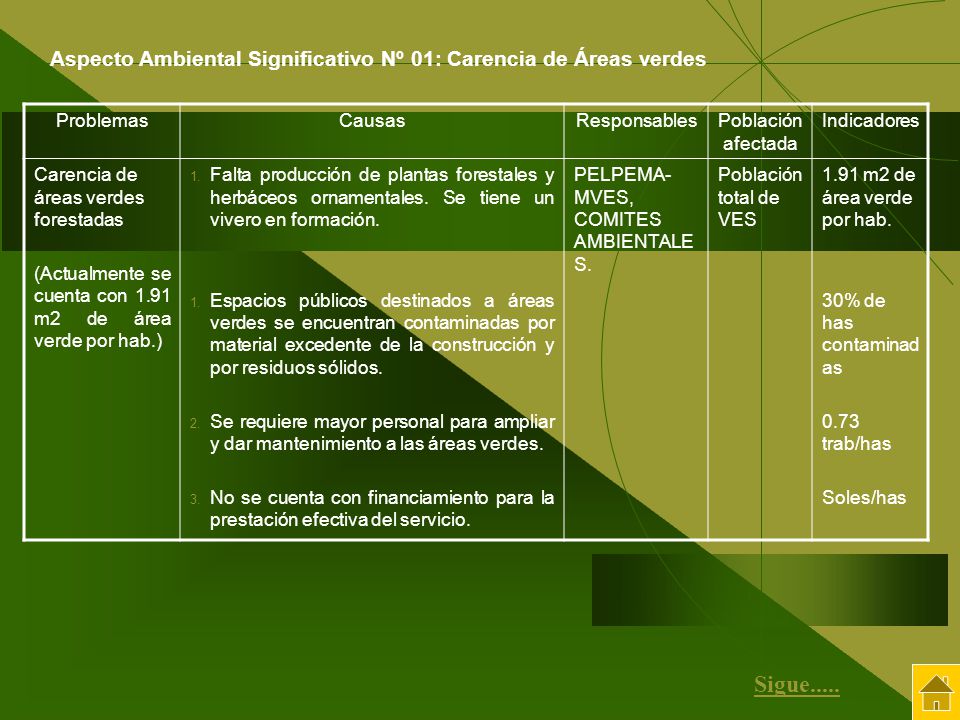 Aspecto Ambiental Significativo Nº 01: Carencia de Áreas verdes