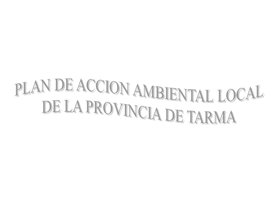 PLAN DE ACCION AMBIENTAL LOCAL DE LA PROVINCIA DE TARMA
