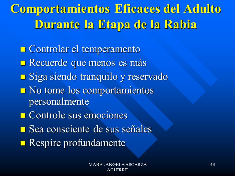 Comportamientos Eficaces del Adulto Durante la Etapa de la Rabia