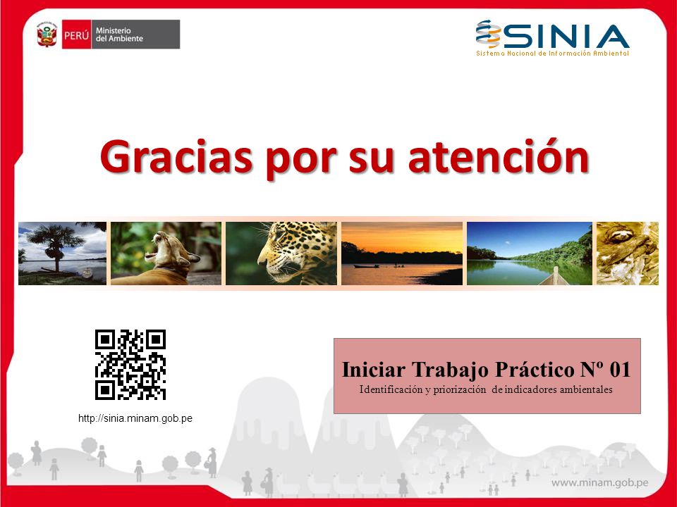Gracias por su atención Iniciar Trabajo Práctico Nº 01