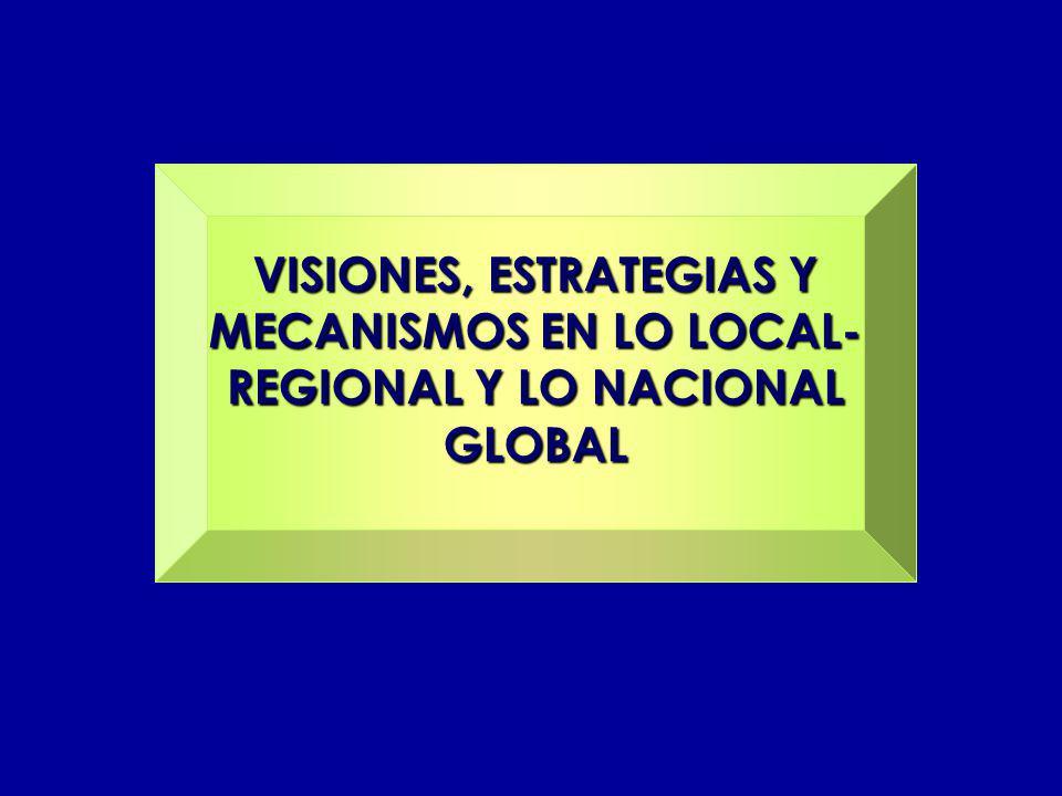 VISIONES, ESTRATEGIAS Y MECANISMOS EN LO LOCAL-REGIONAL Y LO NACIONAL GLOBAL