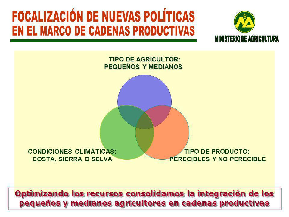 FOCALIZACIÓN DE NUEVAS POLÍTICAS EN EL MARCO DE CADENAS PRODUCTIVAS