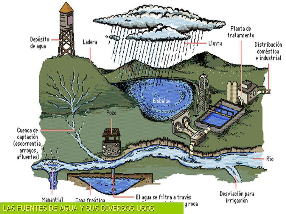 LAS FUENTES DE AGUA Y SUS DIVERSOS USOS