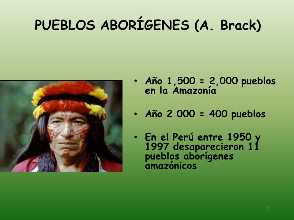 PUEBLOS ABORÍGENES (A. Brack)