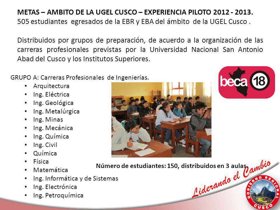 METAS – AMBITO DE LA UGEL CUSCO – EXPERIENCIA PILOTO