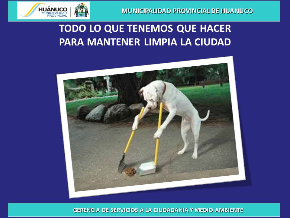 TODO LO QUE TENEMOS QUE HACER PARA MANTENER LIMPIA LA CIUDAD