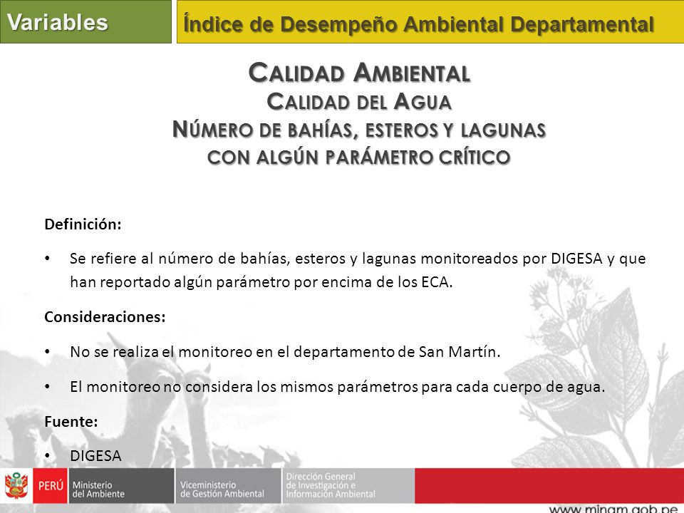 Número de bahías, esteros y lagunas con algún parámetro crítico