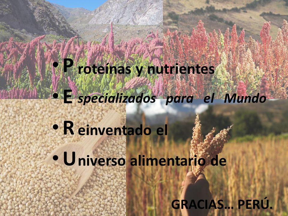 P E R U roteínas y nutrientes einventado el niverso alimentario de