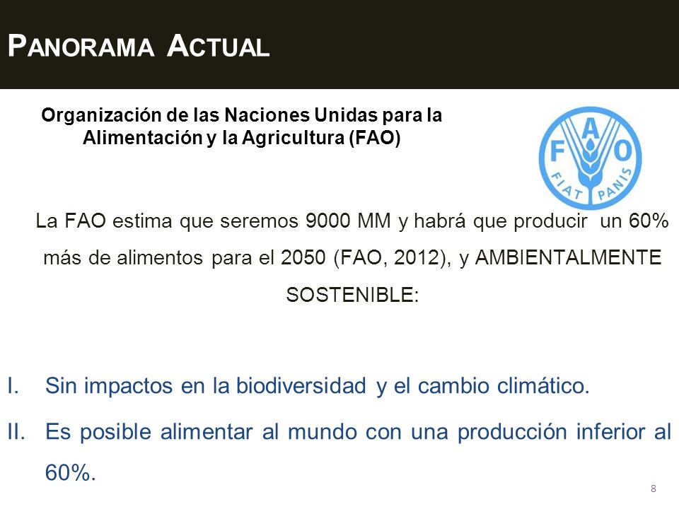 Panorama Actual Organización de las Naciones Unidas para la Alimentación y la Agricultura (FAO)
