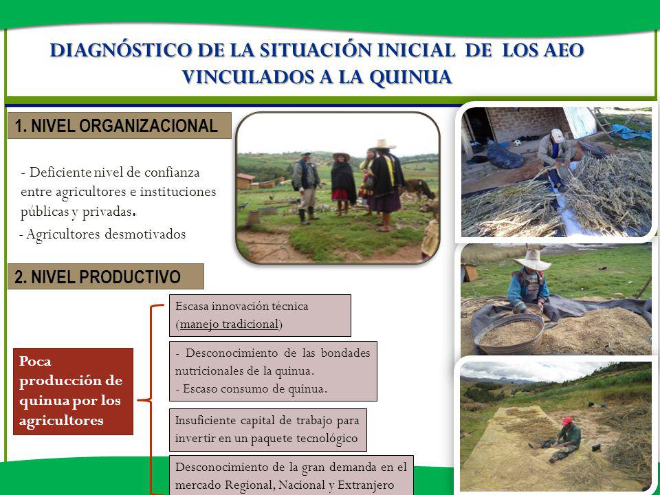 DIAGNÓSTICO DE LA SITUACIÓN INICIAL DE LOS AEO VINCULADOS A LA QUINUA