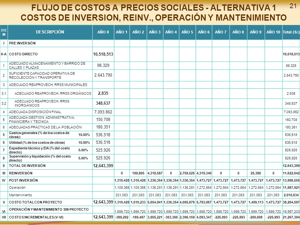 FLUJO DE COSTOS A PRECIOS SOCIALES - ALTERNATIVA 1 COSTOS DE INVERSION, REINV., OPERACIÓN Y MANTENIMIENTO