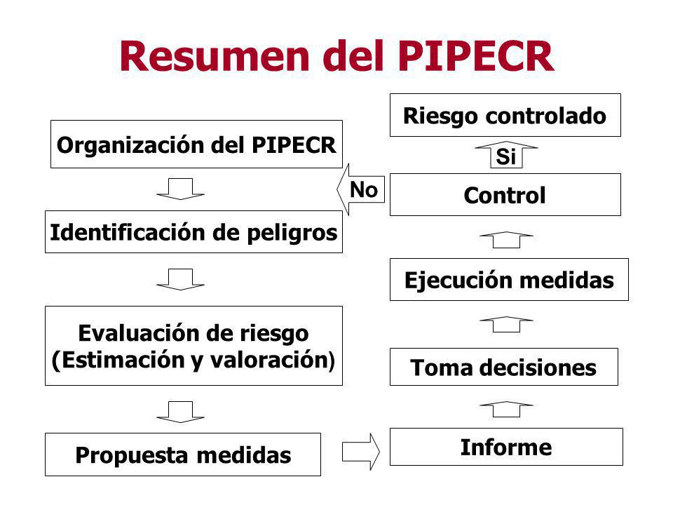 Resumen del PIPECR Riesgo controlado Organización del PIPECR Si No