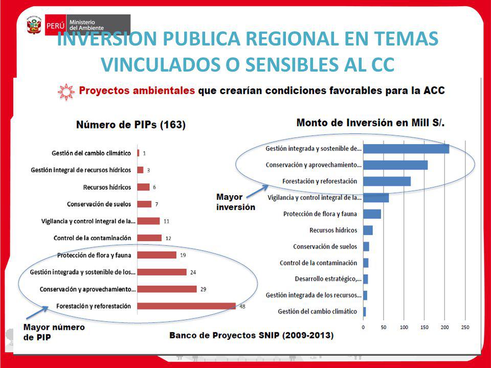 INVERSION PUBLICA REGIONAL EN TEMAS VINCULADOS O SENSIBLES AL CC