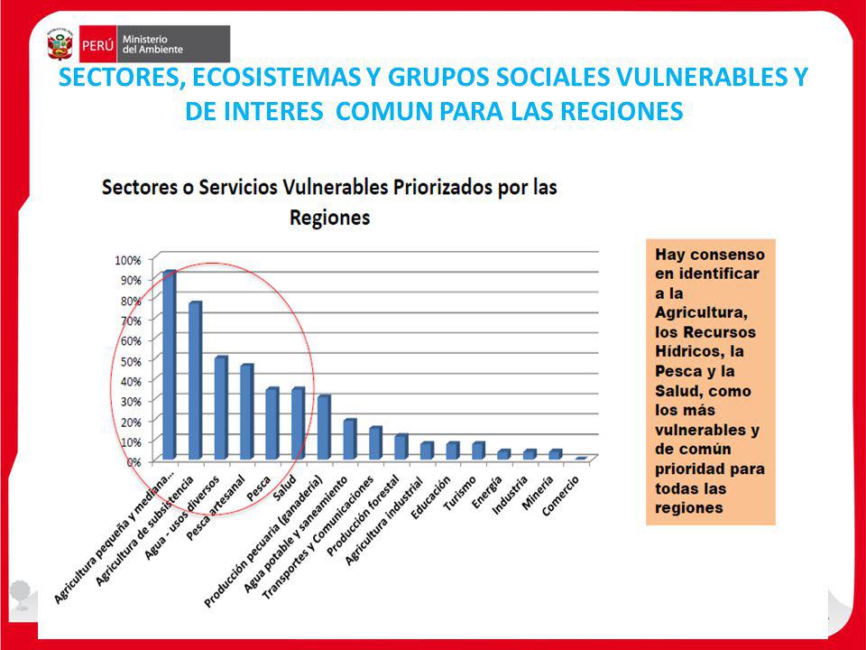 SECTORES, ECOSISTEMAS Y GRUPOS SOCIALES VULNERABLES Y DE INTERES COMUN PARA LAS REGIONES