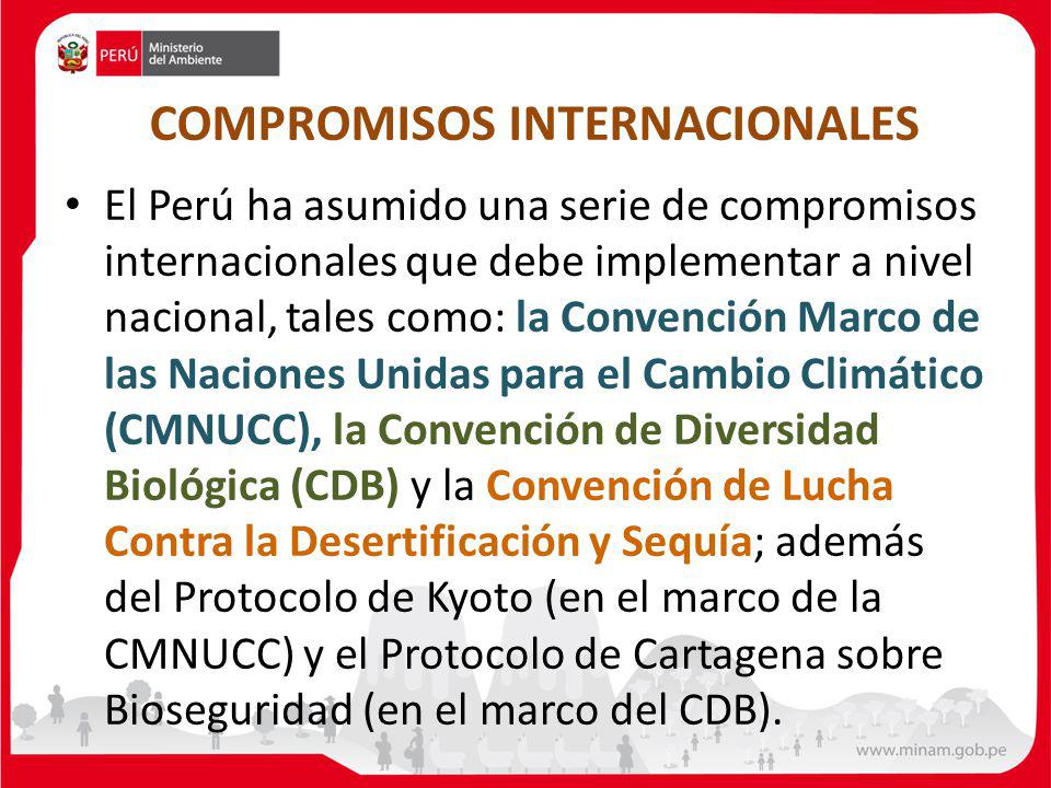 COMPROMISOS INTERNACIONALES