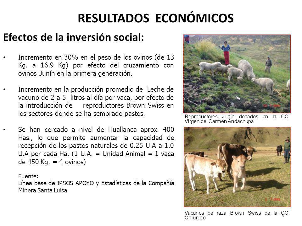 RESULTADOS ECONÓMICOS