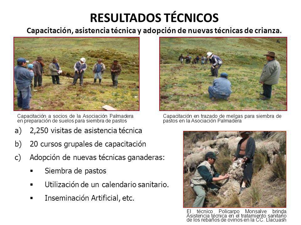 RESULTADOS TÉCNICOS Capacitación, asistencia técnica y adopción de nuevas técnicas de crianza.