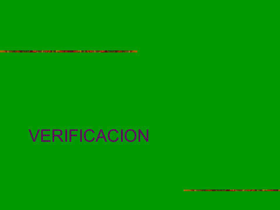 VERIFICACION