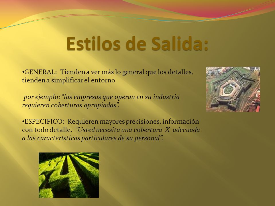 Estilos de Salida: GENERAL: Tienden a ver más lo general que los detalles, tienden a simplificar el entorno.