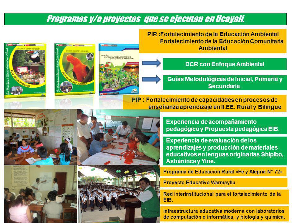Programas y/o proyectos que se ejecutan en Ucayali.