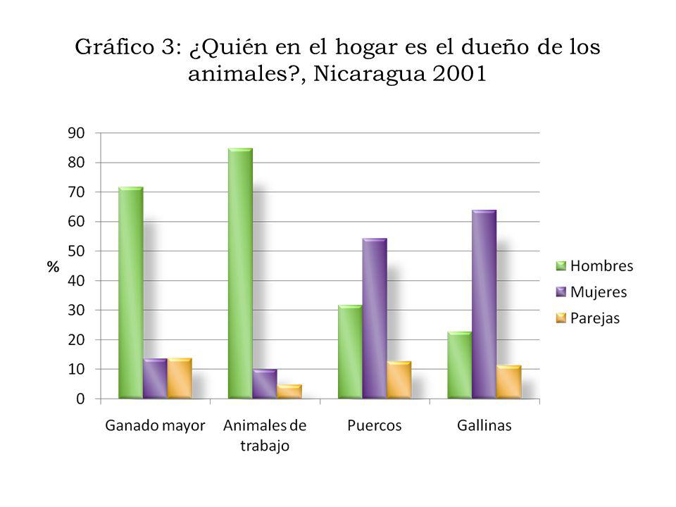 Gráfico 3: ¿Quién en el hogar es el dueño de los animales