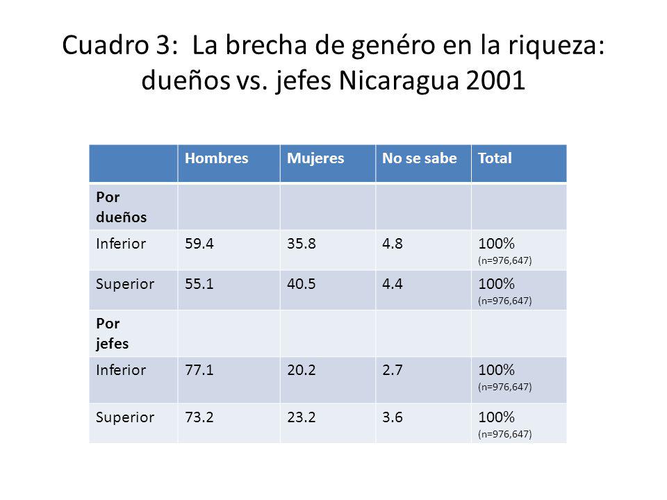 Cuadro 3: La brecha de genéro en la riqueza: dueños vs