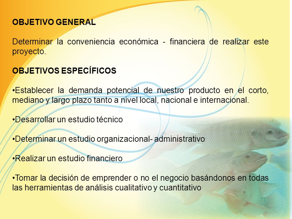 OBJETIVO GENERAL Determinar la conveniencia económica - financiera de realizar este proyecto. OBJETIVOS ESPECÍFICOS.