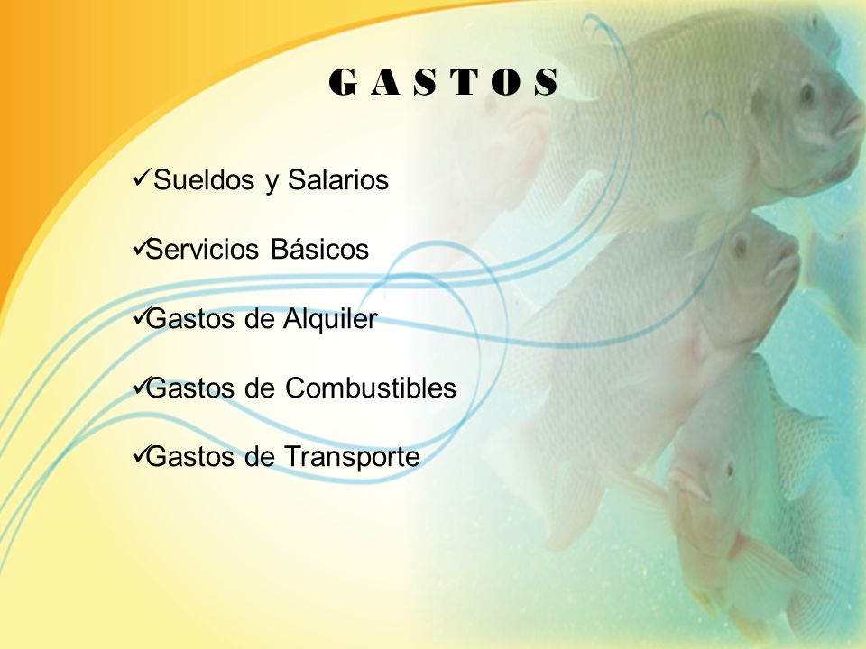 G A S T O S Sueldos y Salarios Servicios Básicos Gastos de Alquiler