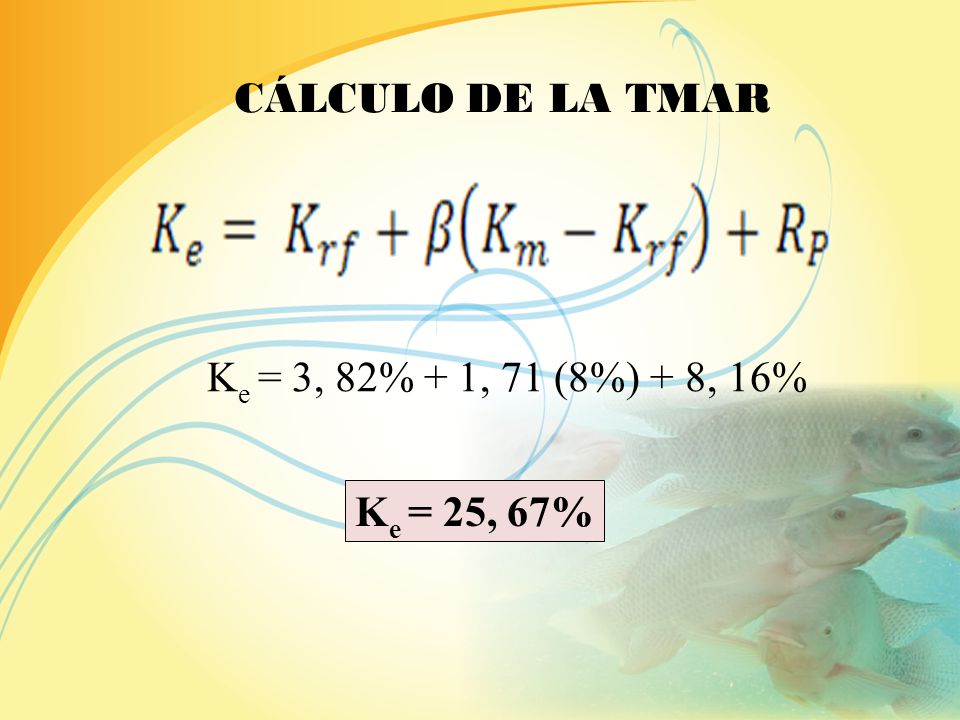 CÁLCULO DE LA TMAR Ke = 3, 82% + 1, 71 (8%) + 8, 16% Ke = 25, 67%